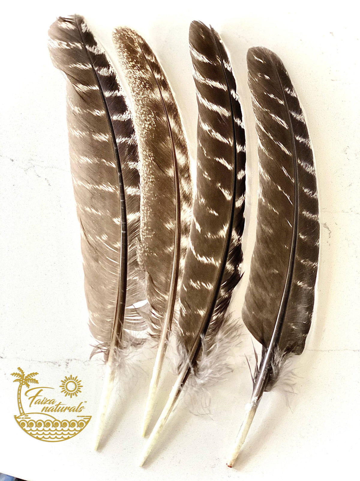 Feathers for Smudging