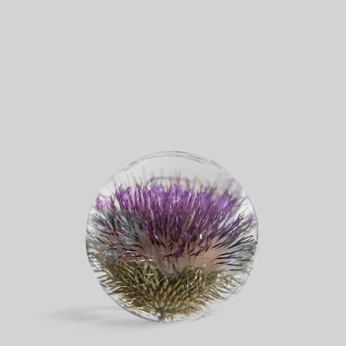 Open Thistle Paperweight