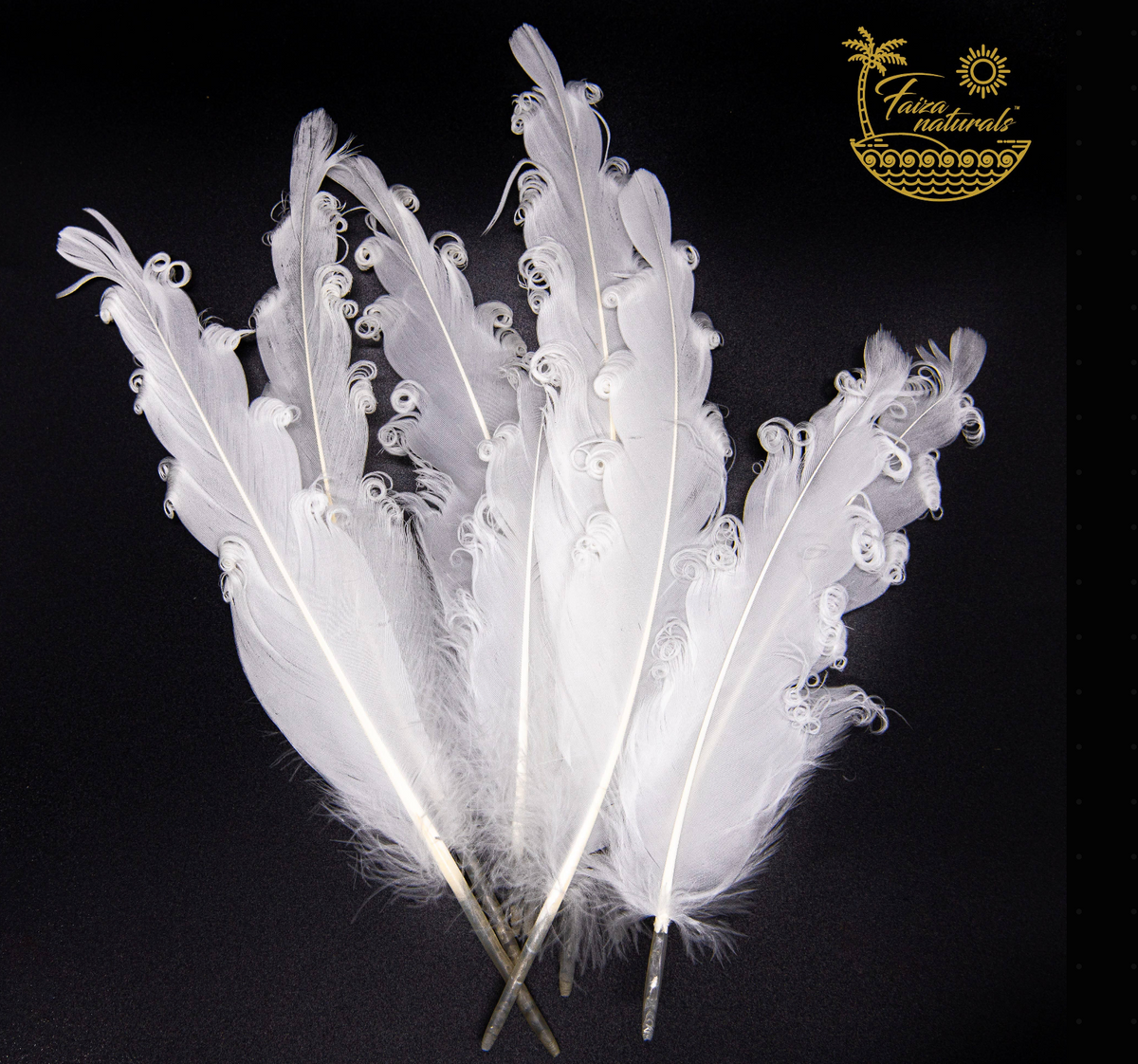 Goose Feathers for Smudging