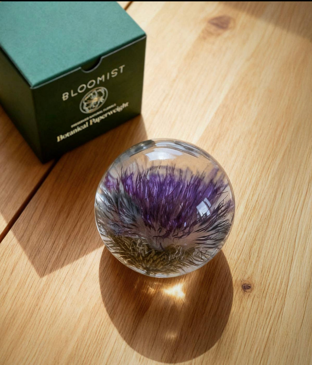 Open Thistle Paperweight