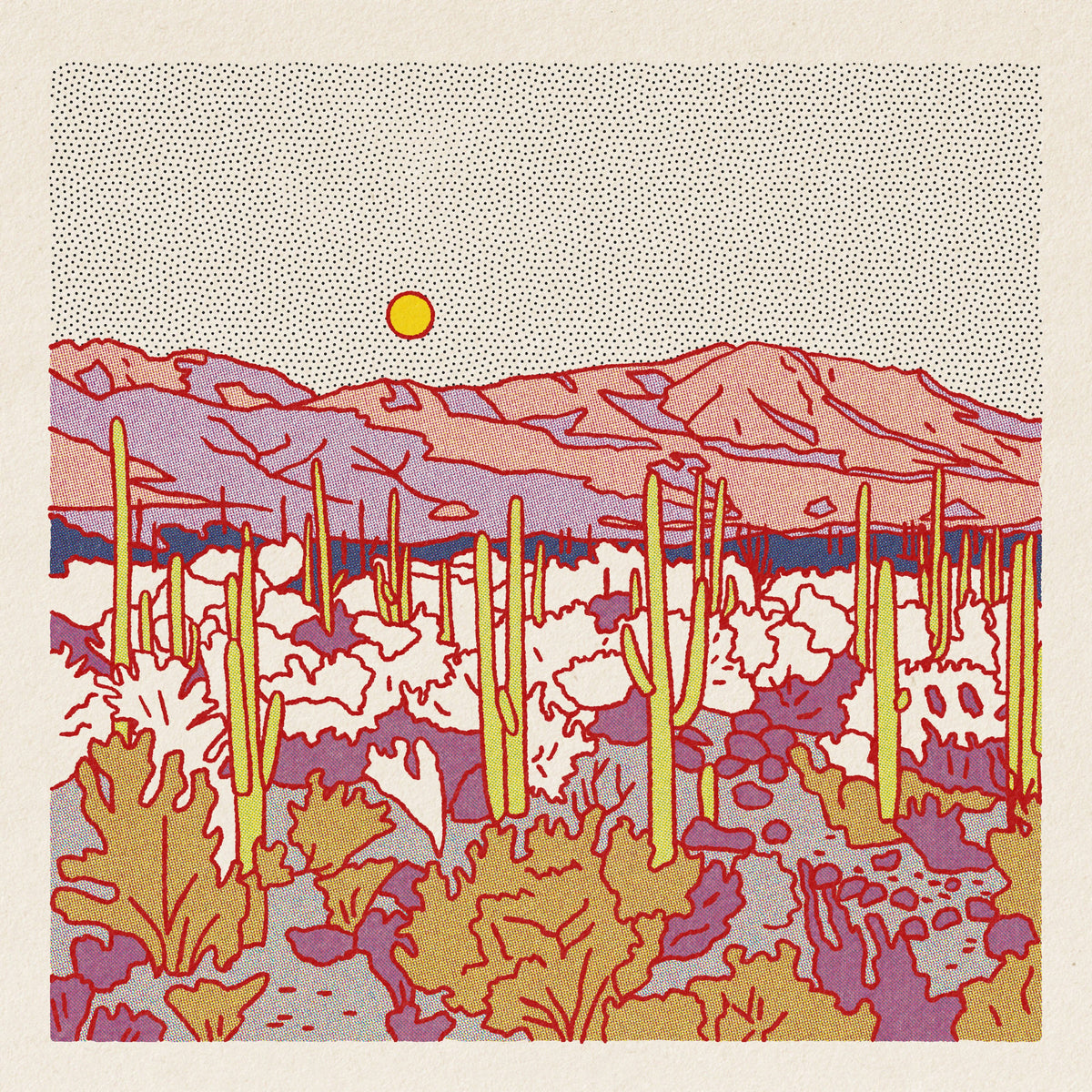 Evening Desert Postcard Pack