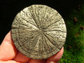 Pyrite Sun
