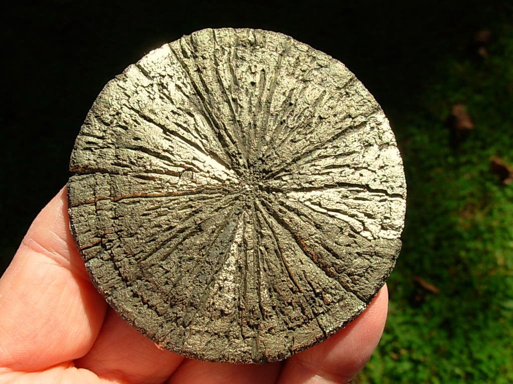 Pyrite Sun
