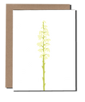 Yucca Flower greeting card