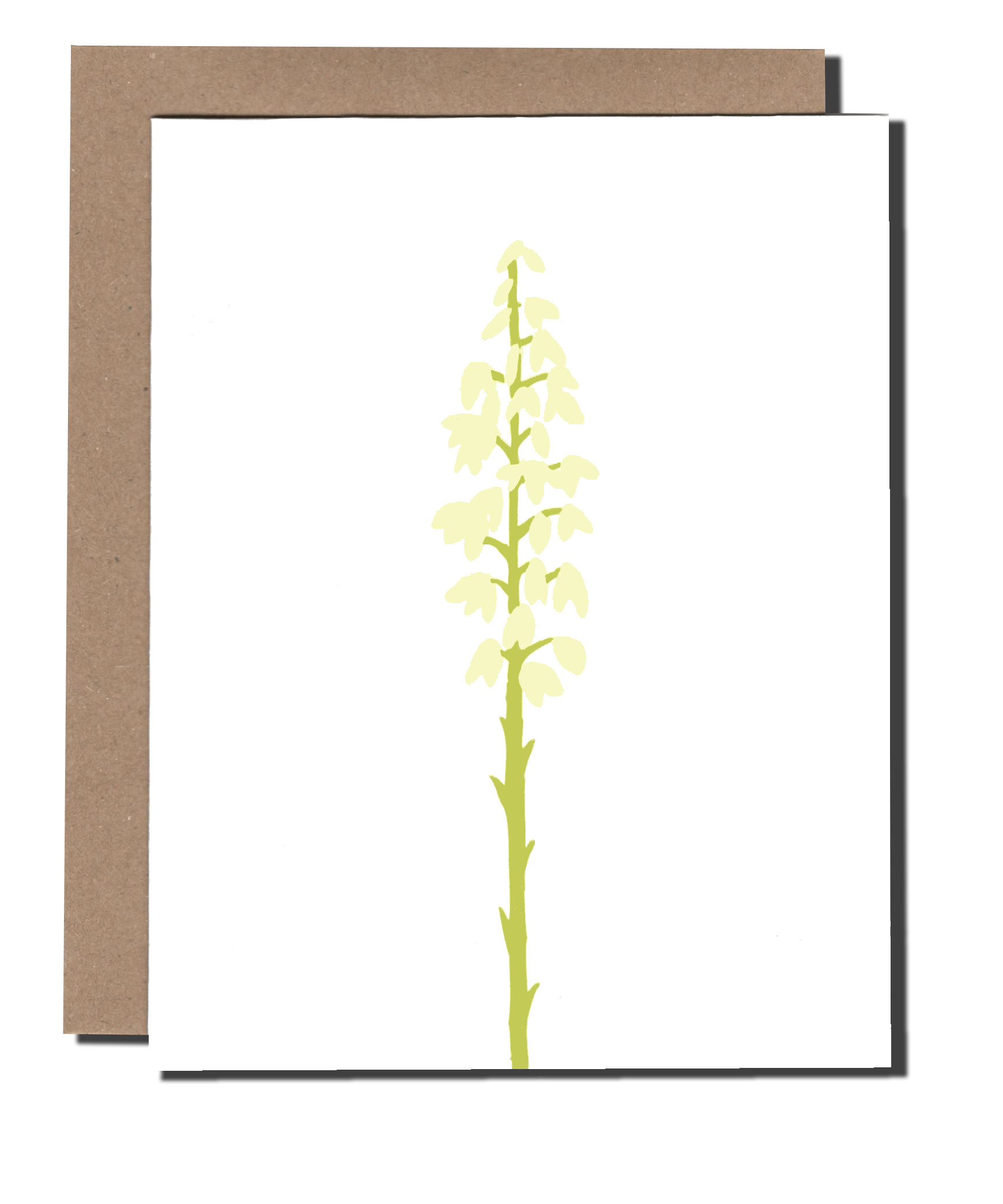 Yucca Flower greeting card