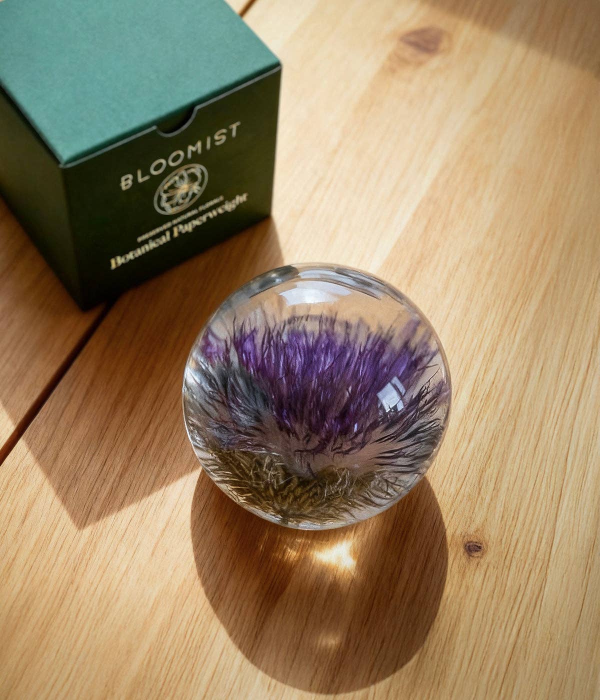Open Thistle Botanical Resin Paperweight