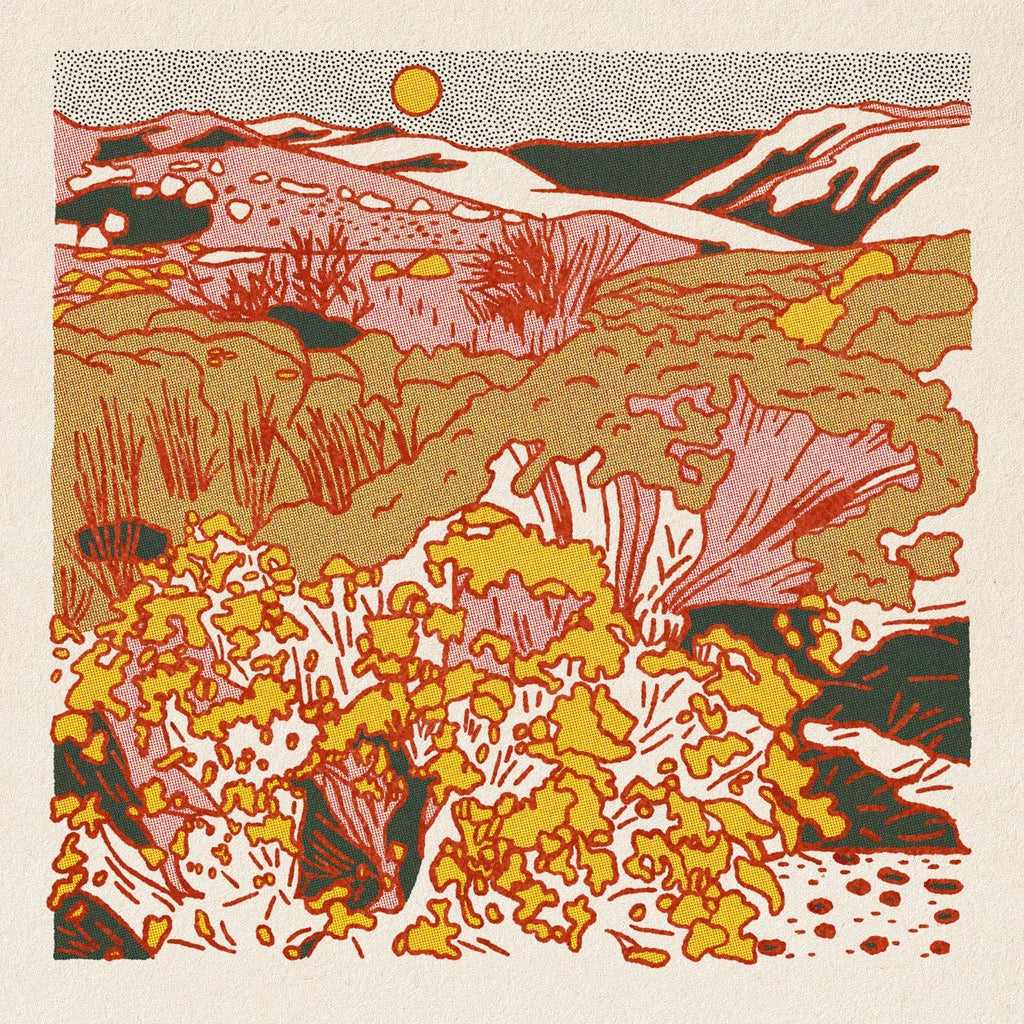 Morning Desert Postcard Pack