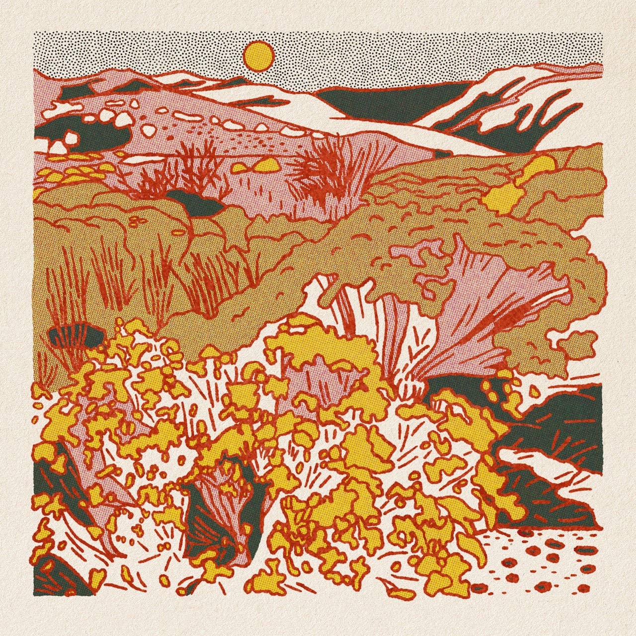 Morning Desert Postcard Pack
