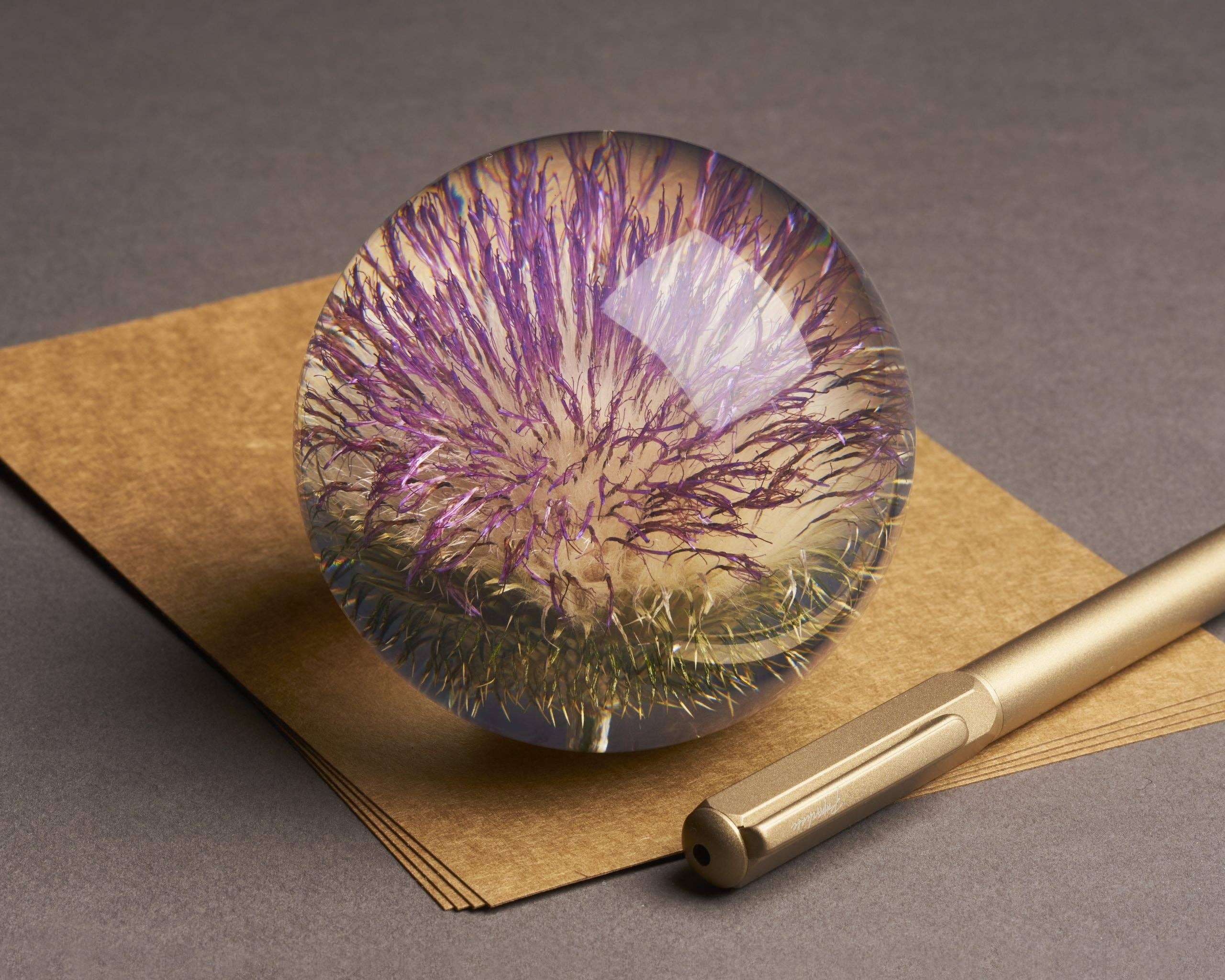 Open Thistle Botanical Resin Paperweight