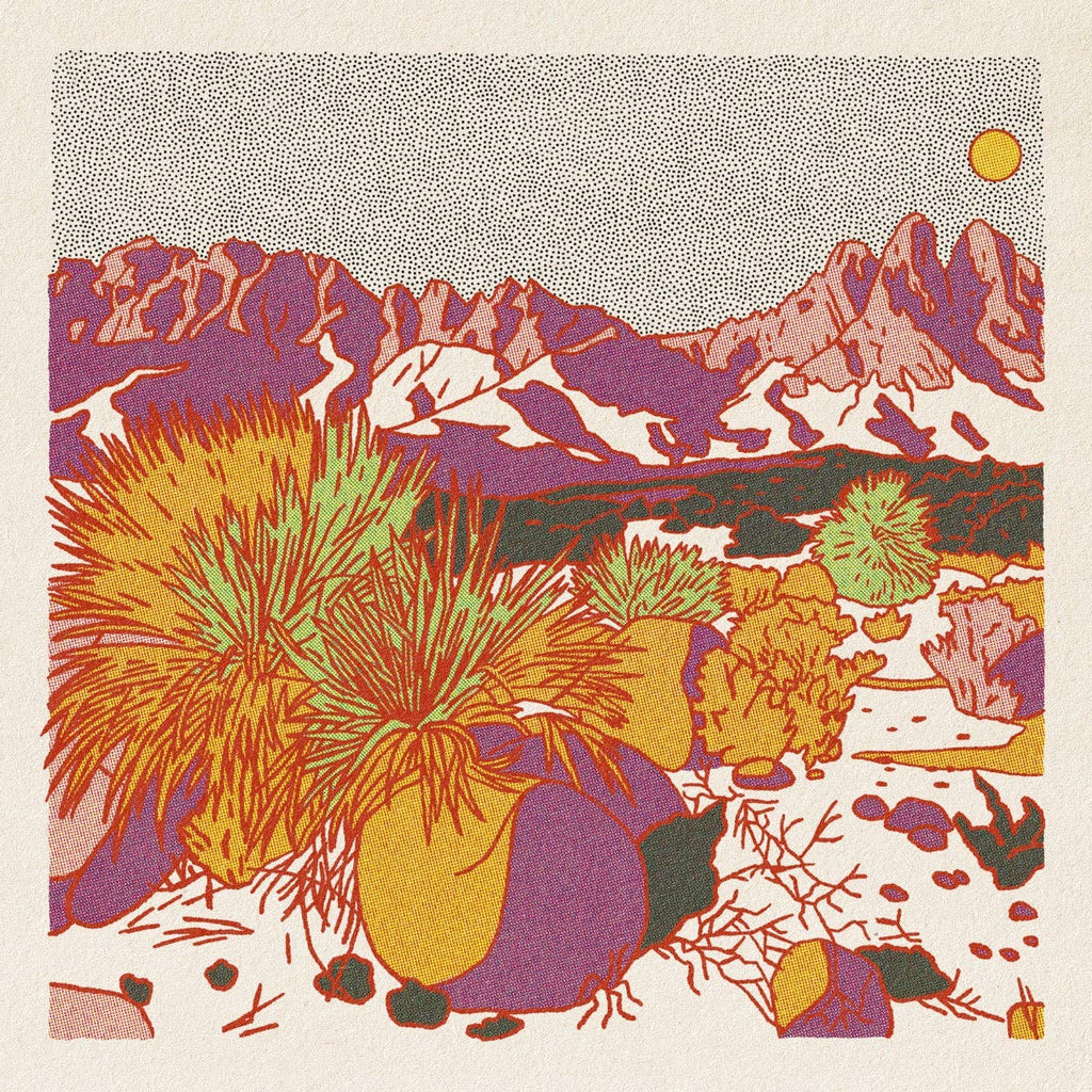 Morning Desert Postcard Pack