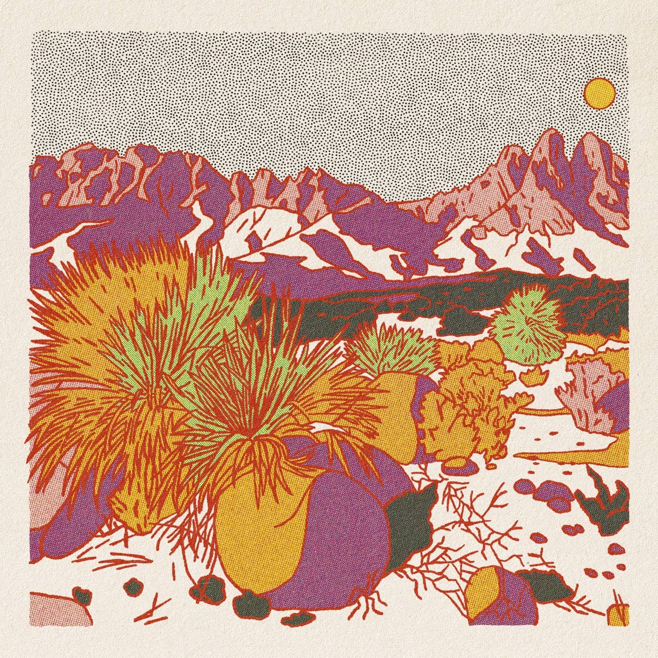 Morning Desert Postcard Pack