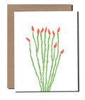 Ocotillo Flower greeting card