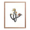 Orchid Cactus - 8" x 10" Letterpress and gold foil Art Print