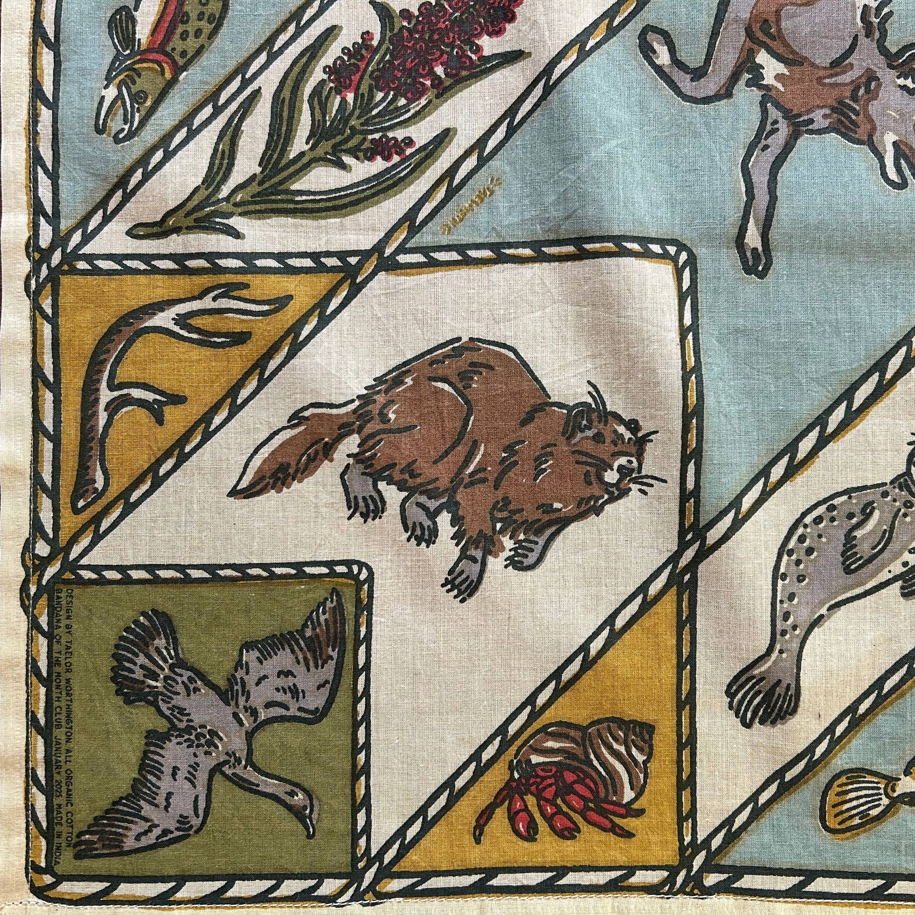 Bandana designed by Taelor Worthington