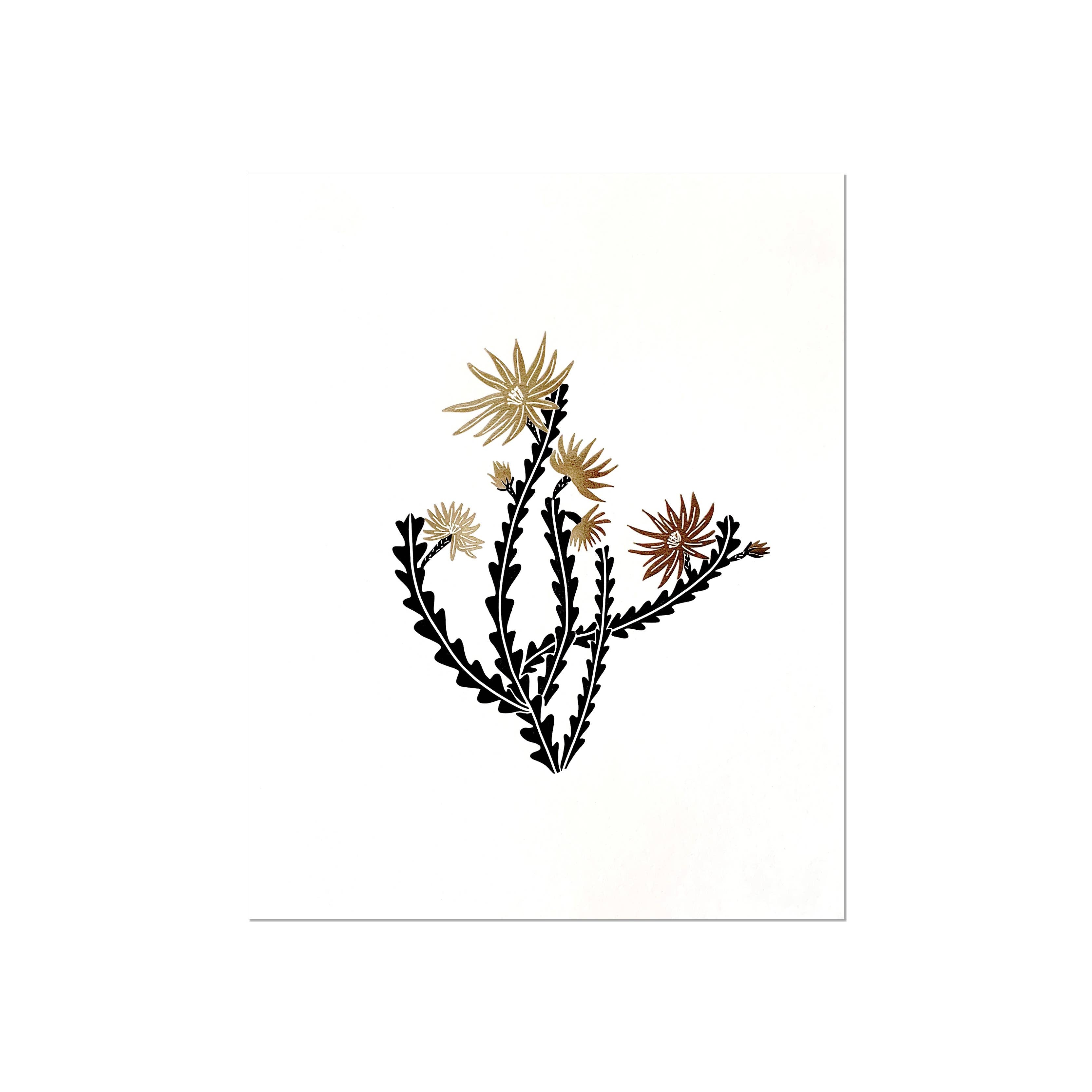 Orchid Cactus - 8" x 10" Letterpress and gold foil Art Print