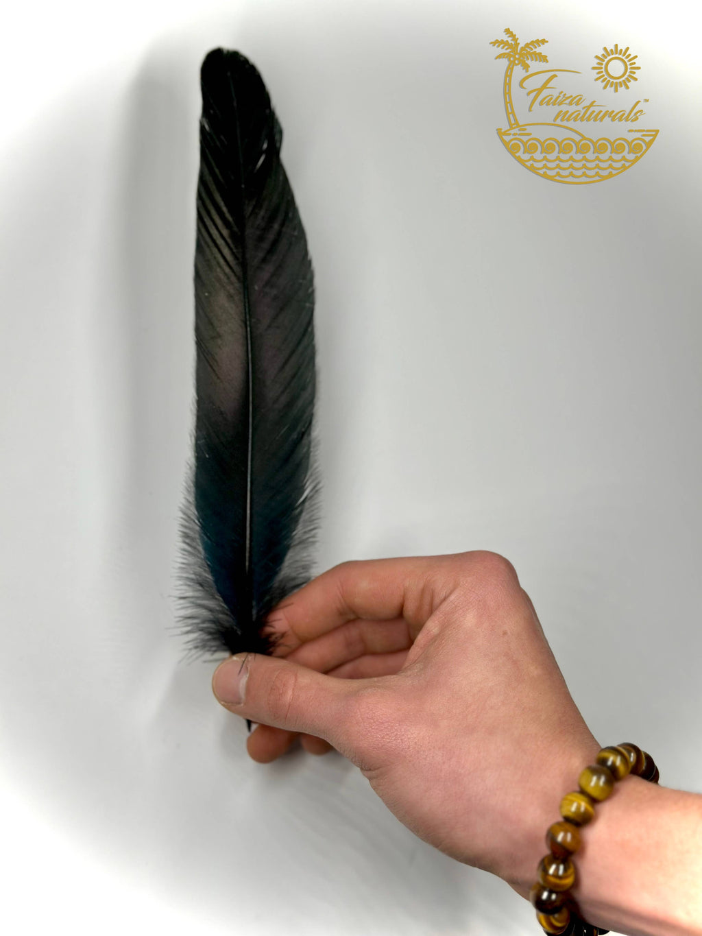 Black Feathers for Smudging