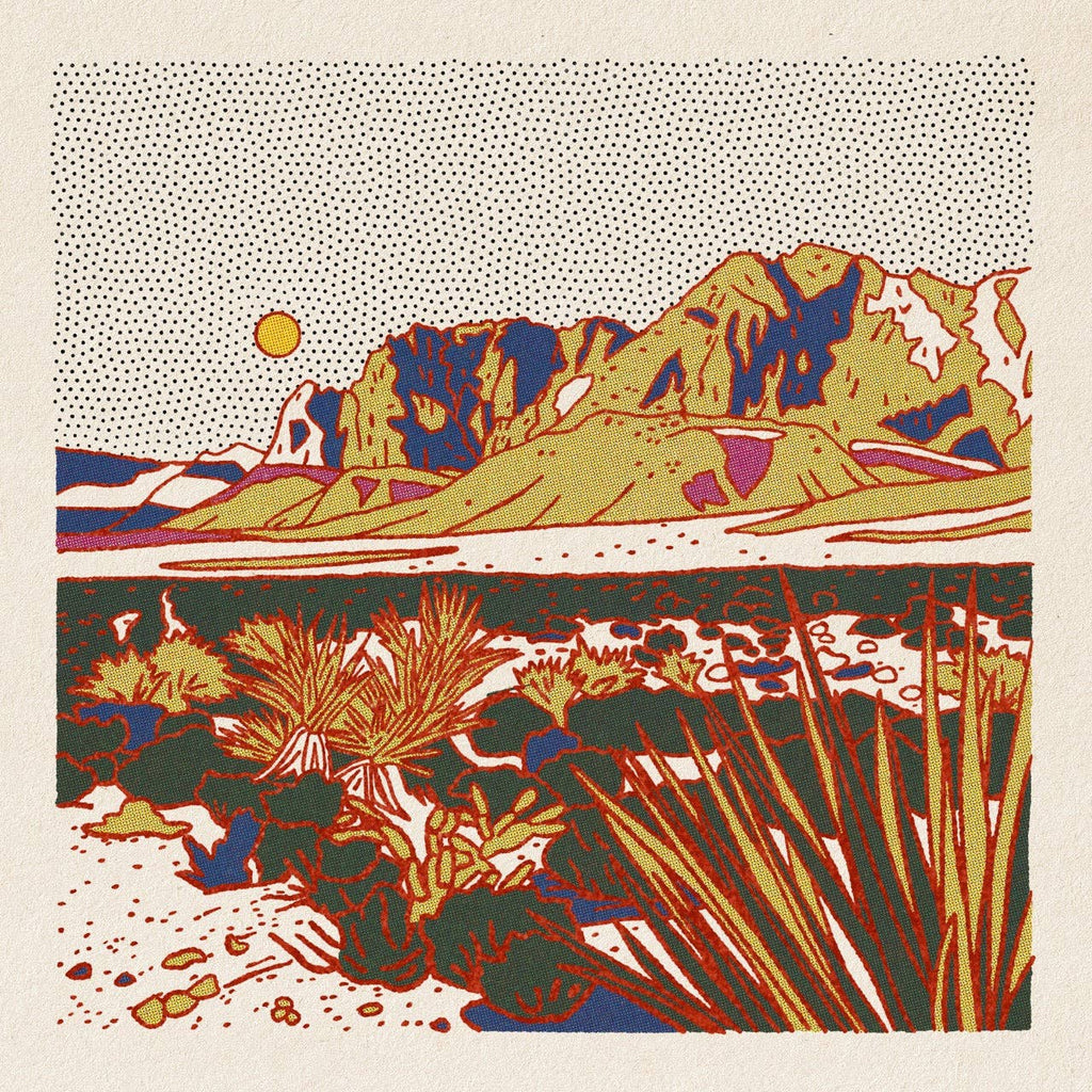 Morning Desert Postcard Pack