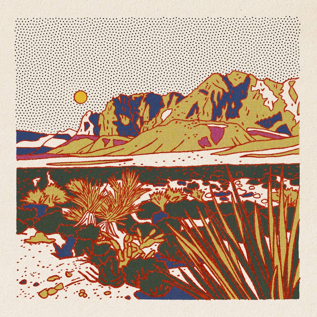Morning Desert Postcard Pack