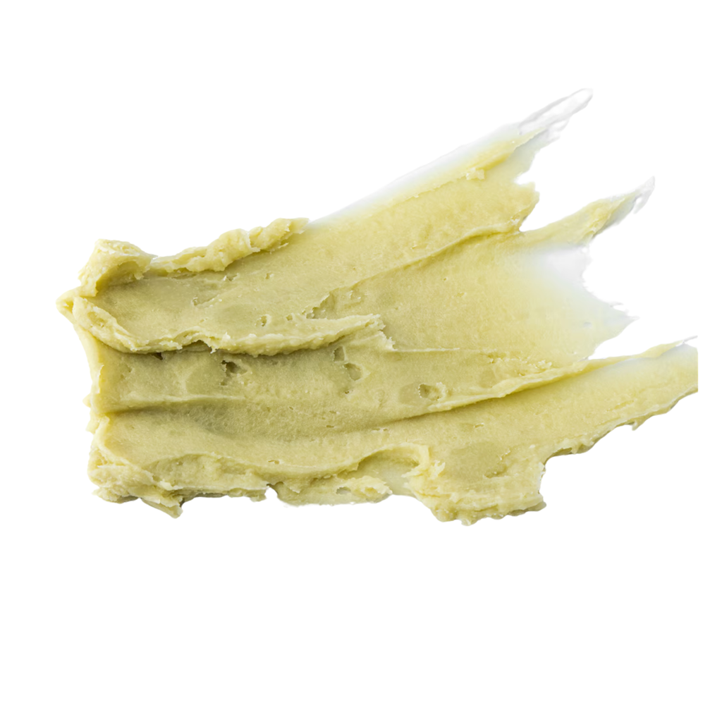 Matcha Lip Butter Balm