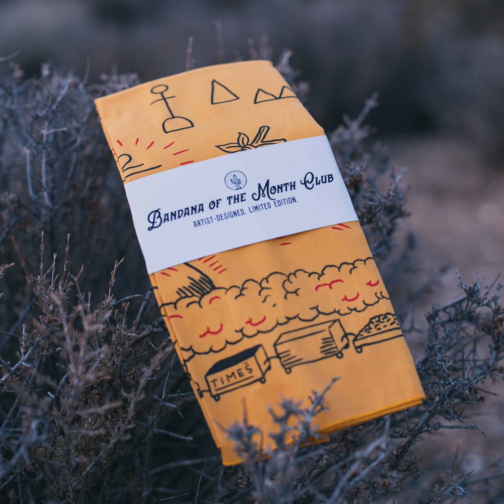 Bandana designed by Taylor Rushing
