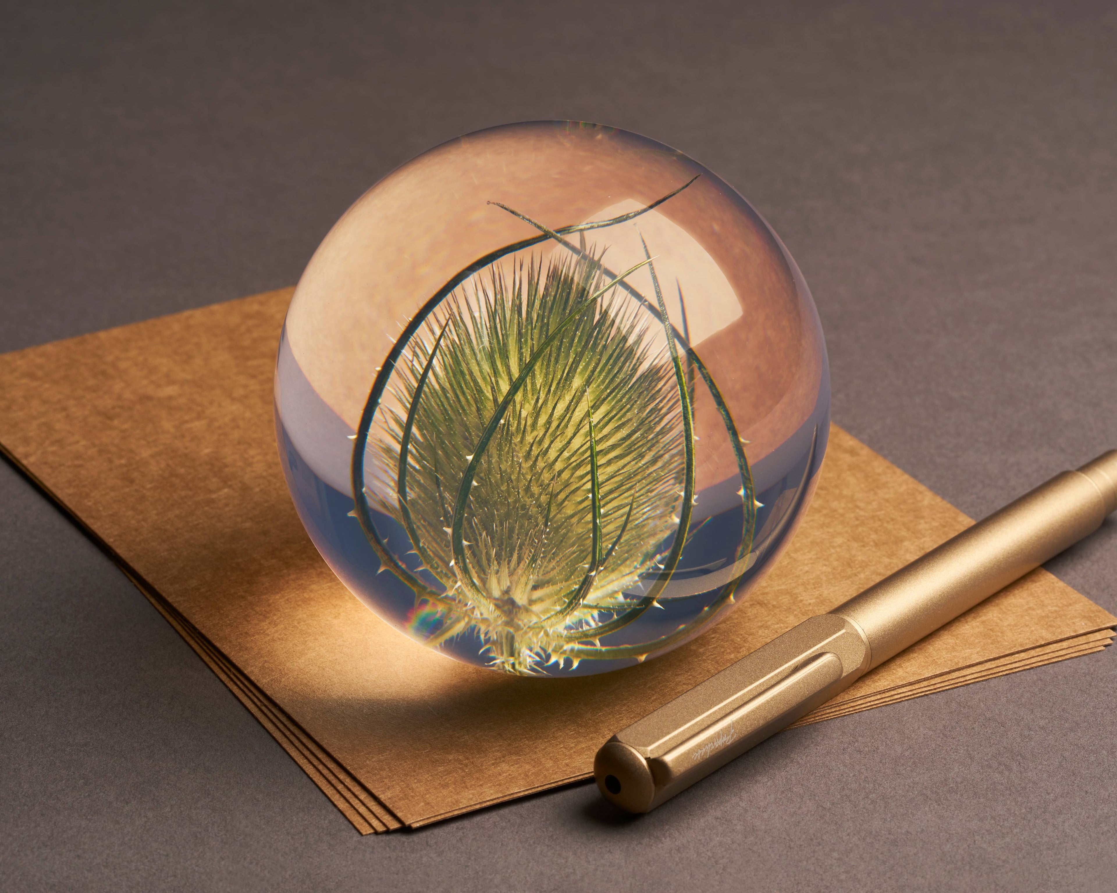 Teasel Paperweight