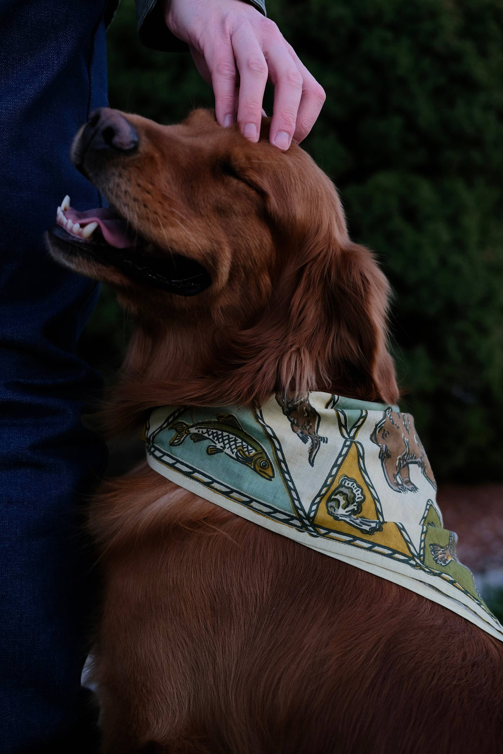 Bandana designed by Taelor Worthington