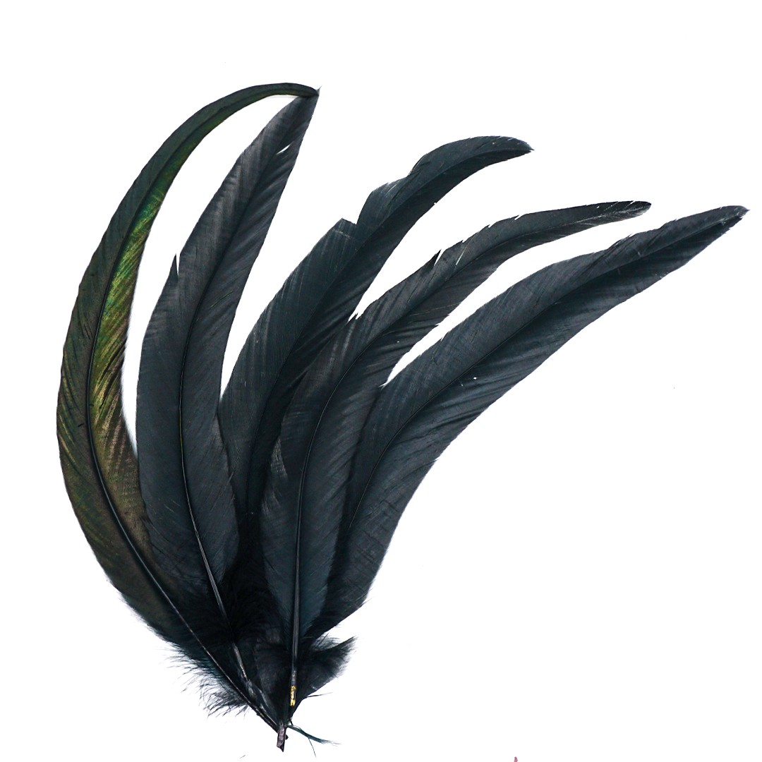 Black Feathers for Smudging