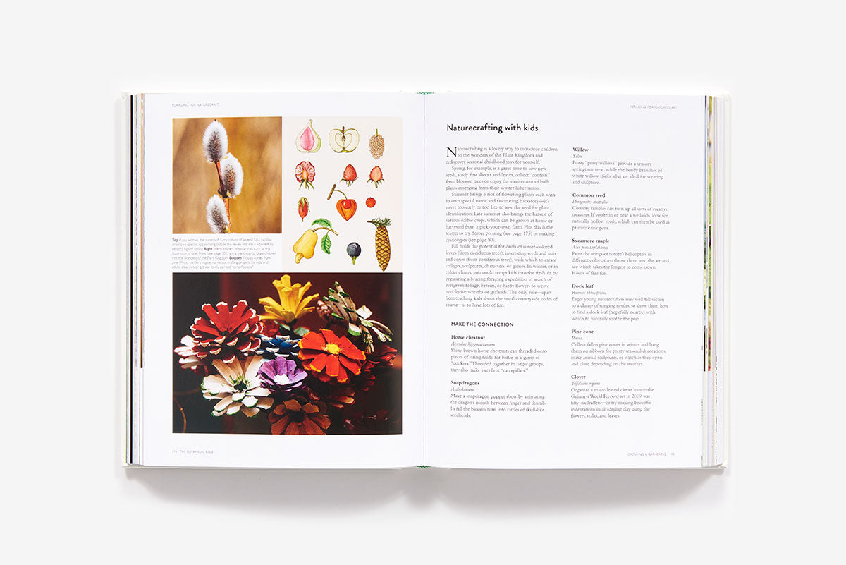 Botanical Bible
