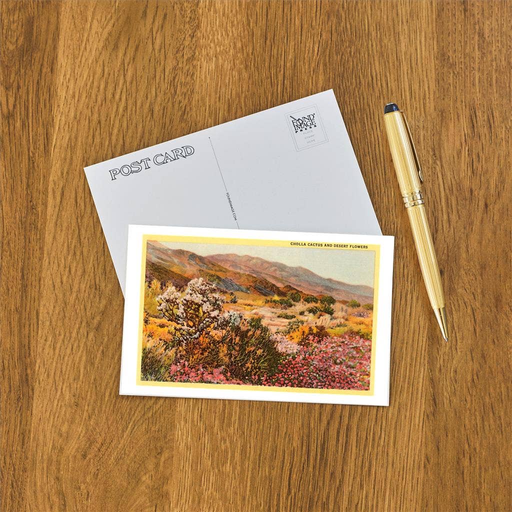 Postcard CD-18 Chollas Cactus and Desert Flowers