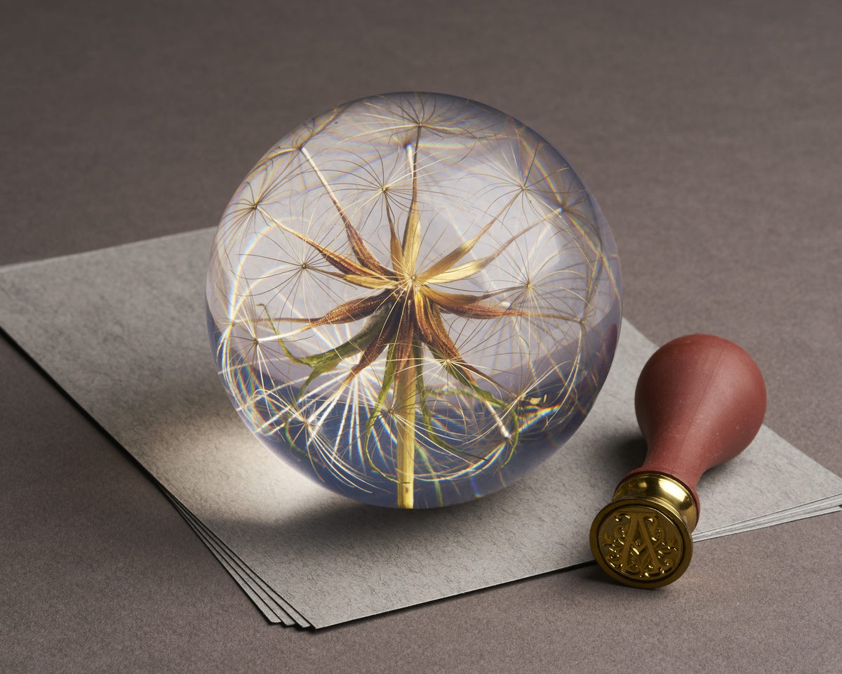 Goatsbeard Paperweight
