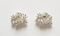 Flower Bud Cluster Studs, SS