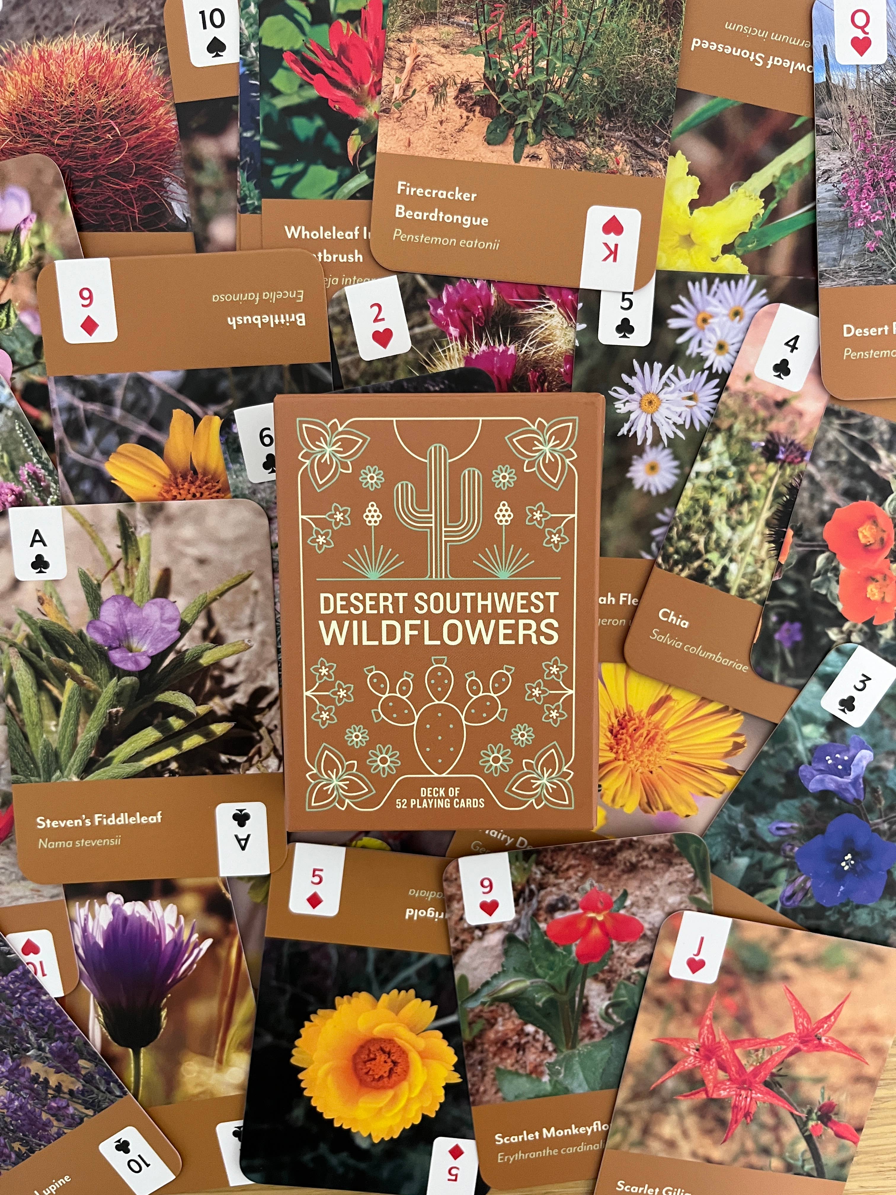 Desert Southwest Wildflowers Deck