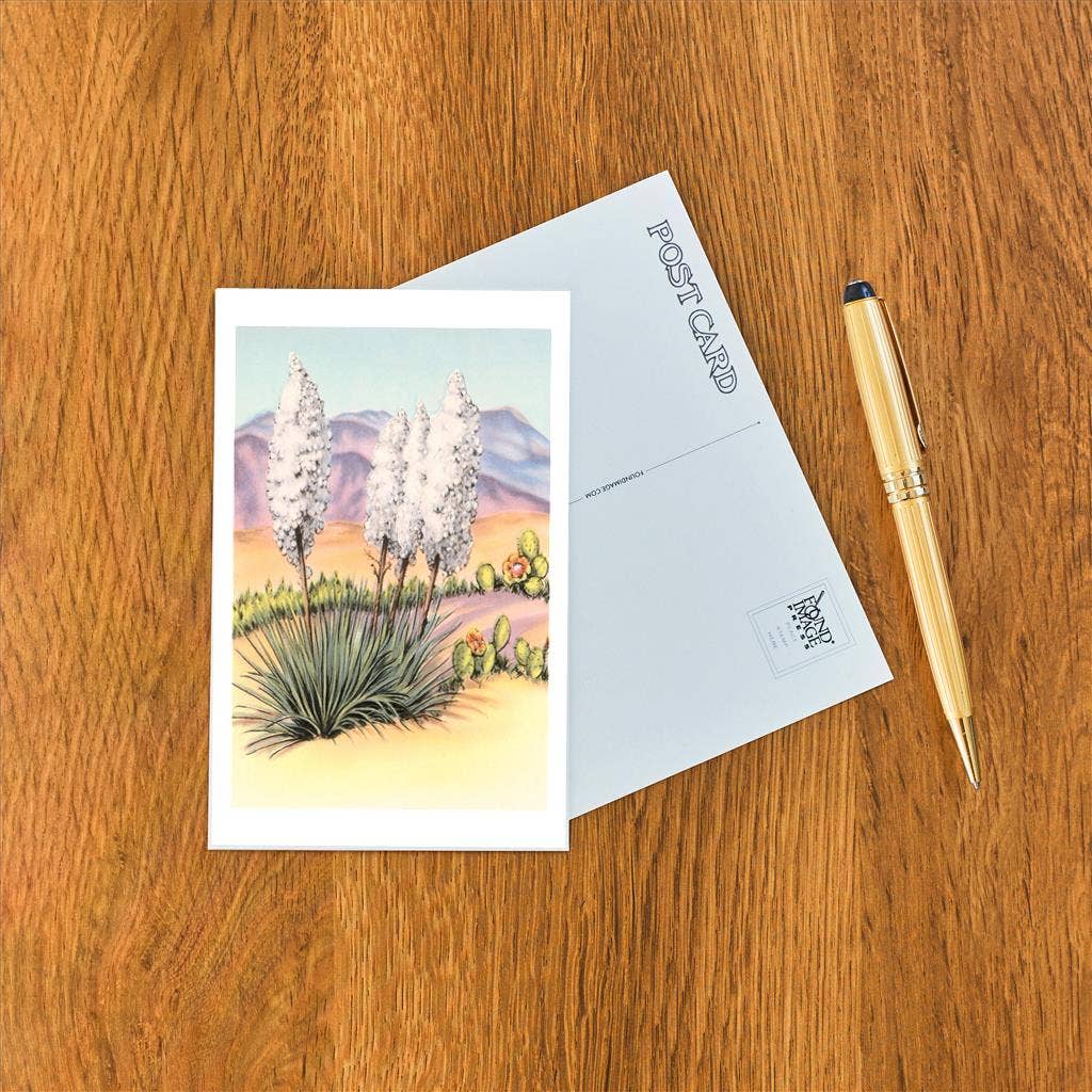 Postcard CD-170 Yucca and Cactus Plants