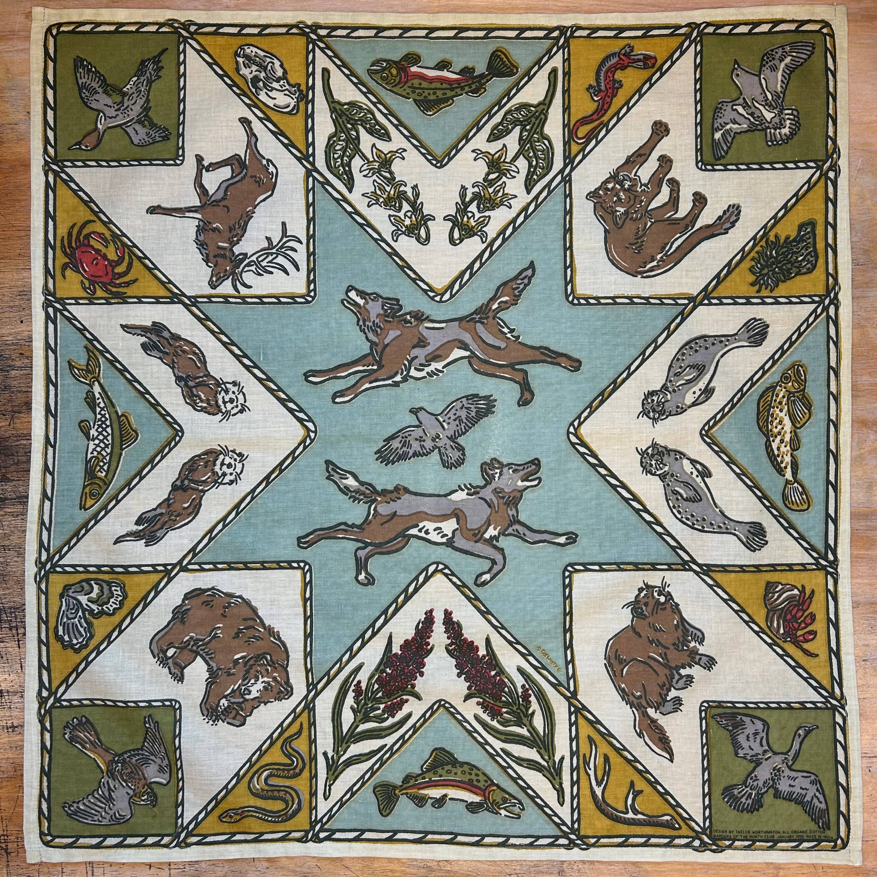 Bandana designed by Taelor Worthington