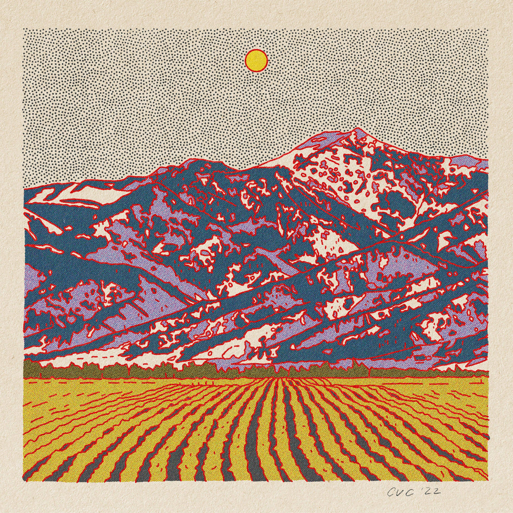 Evening Desert Postcard Pack