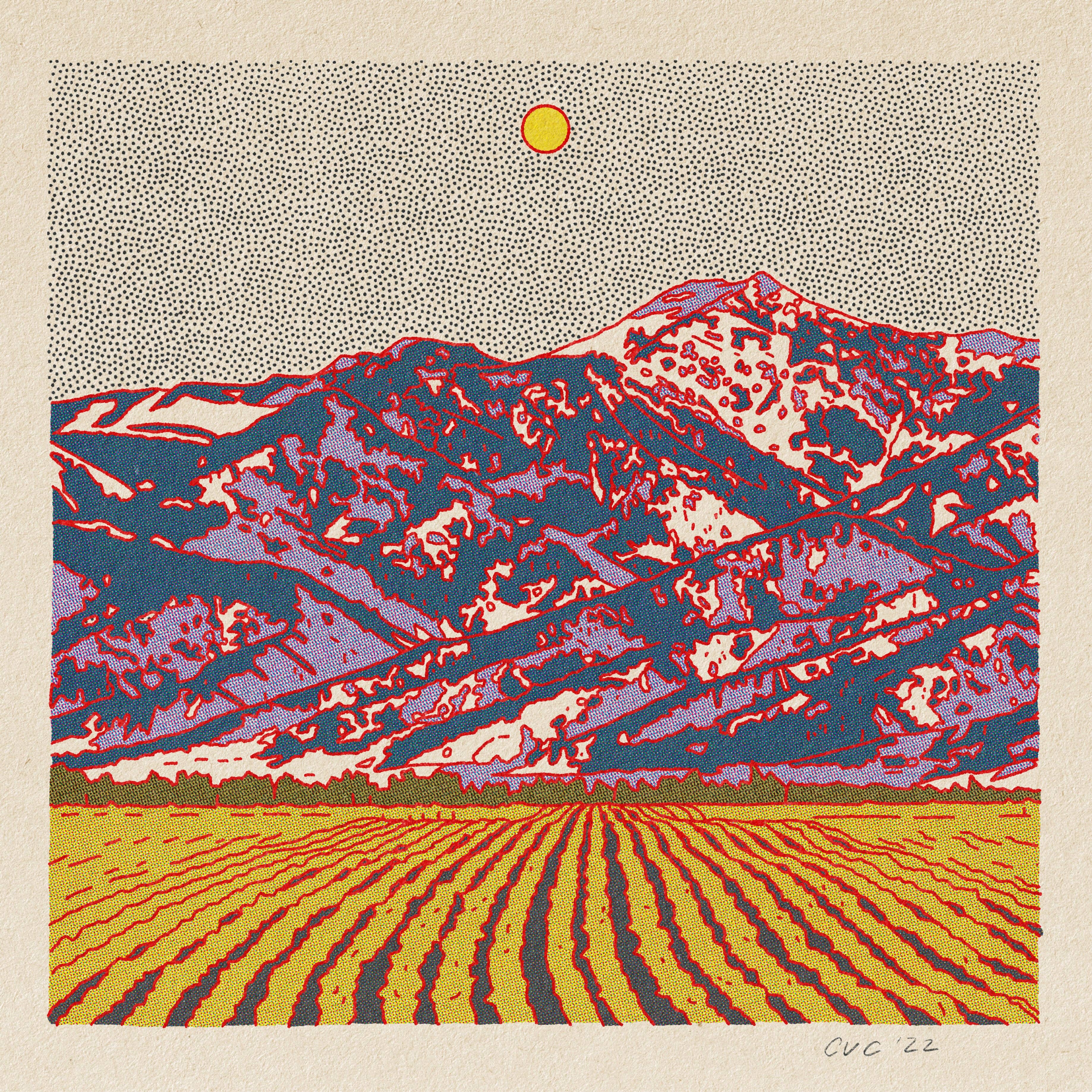 Evening Desert Postcard Pack