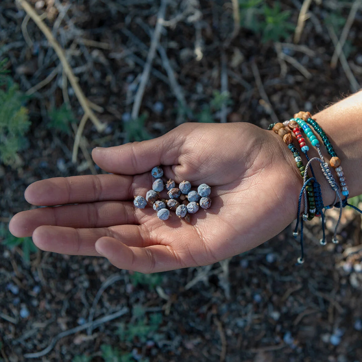 Dineh - Window Rock Cedar Bead Necklace
