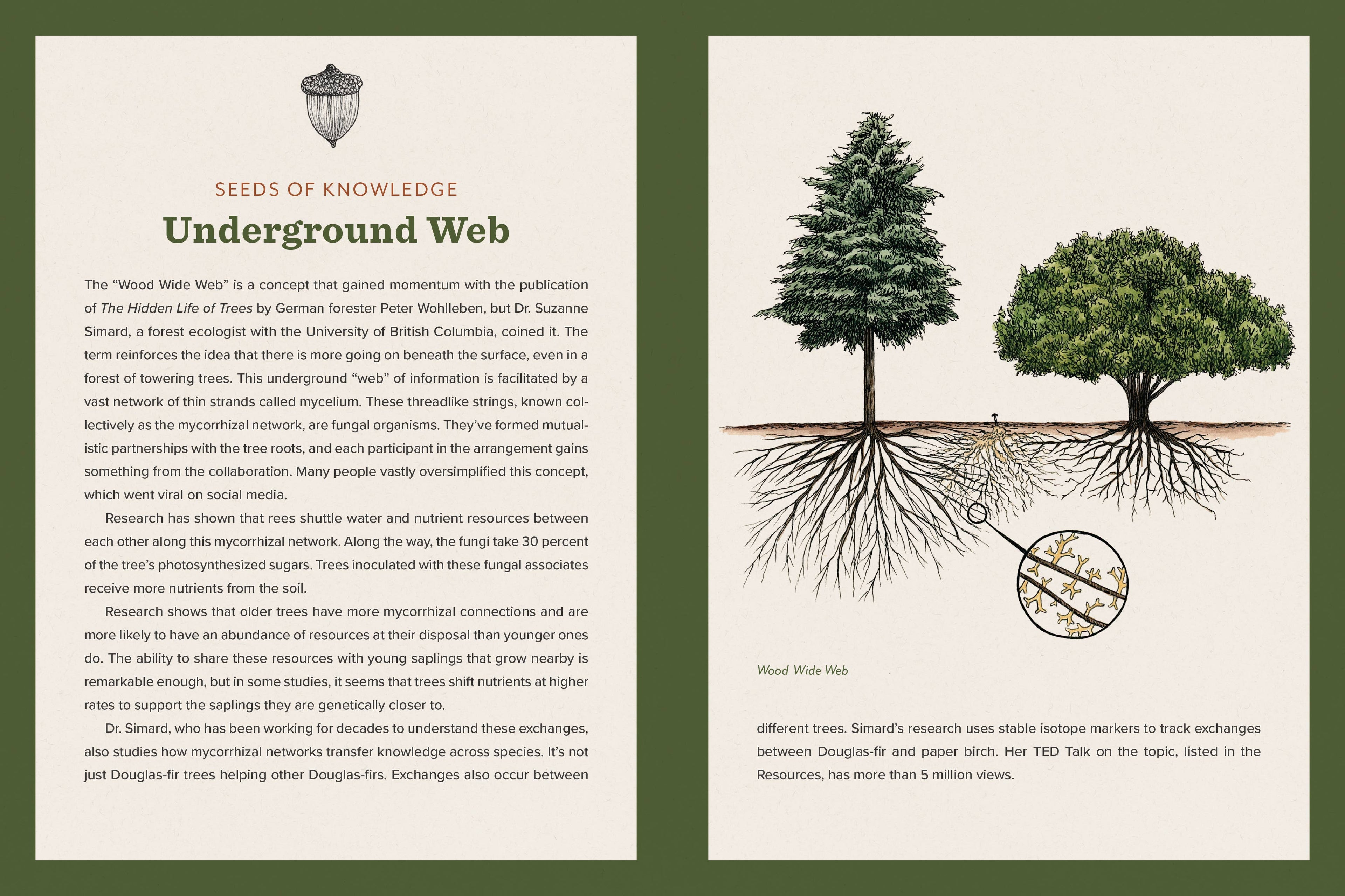 Knowing the Trees