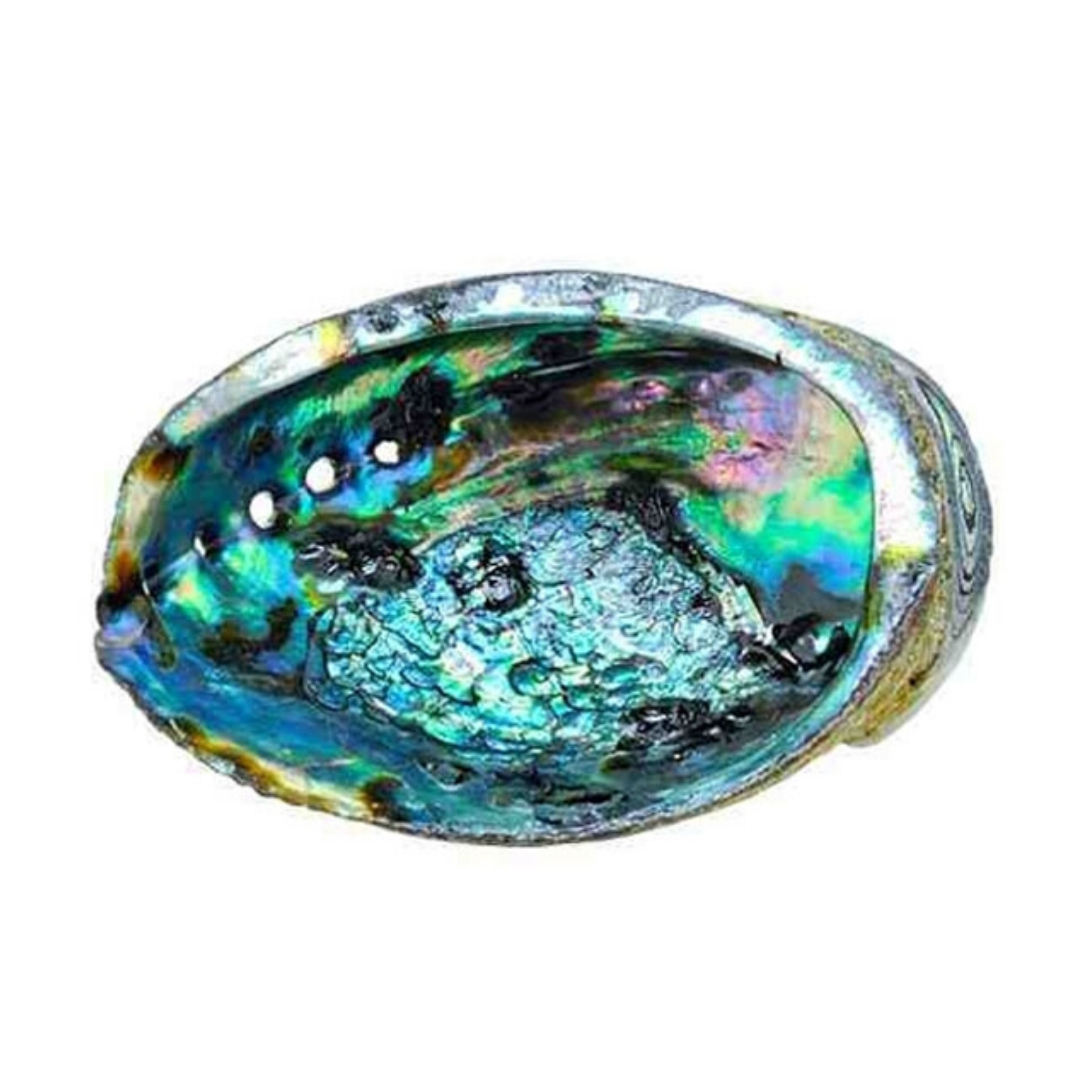 Abalone Shell Dish | Palo Santo Ritual