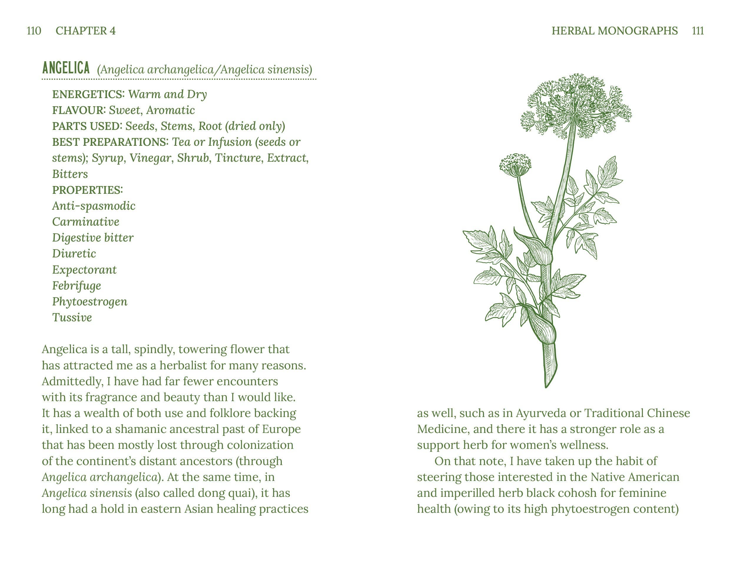 Herbalism (Arcturus Hidden Knowledge)