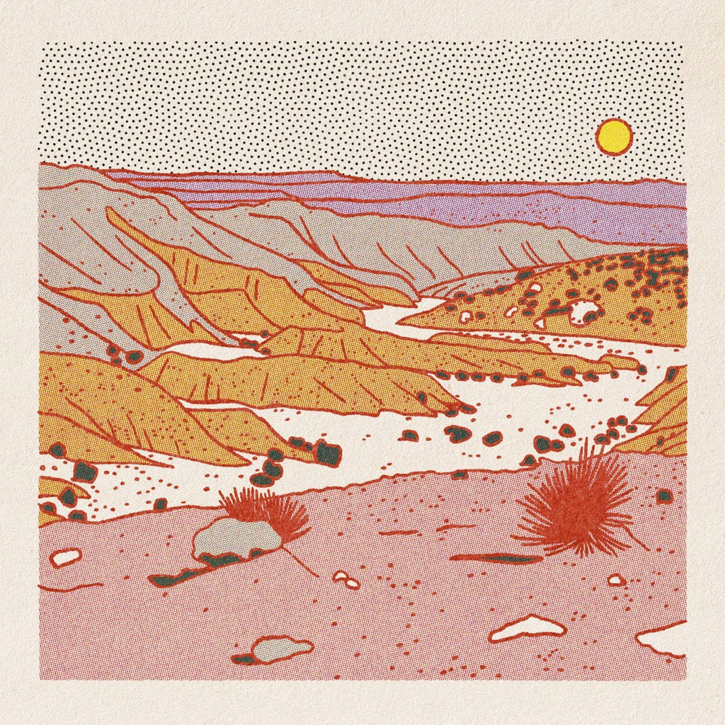Morning Desert Postcard Pack