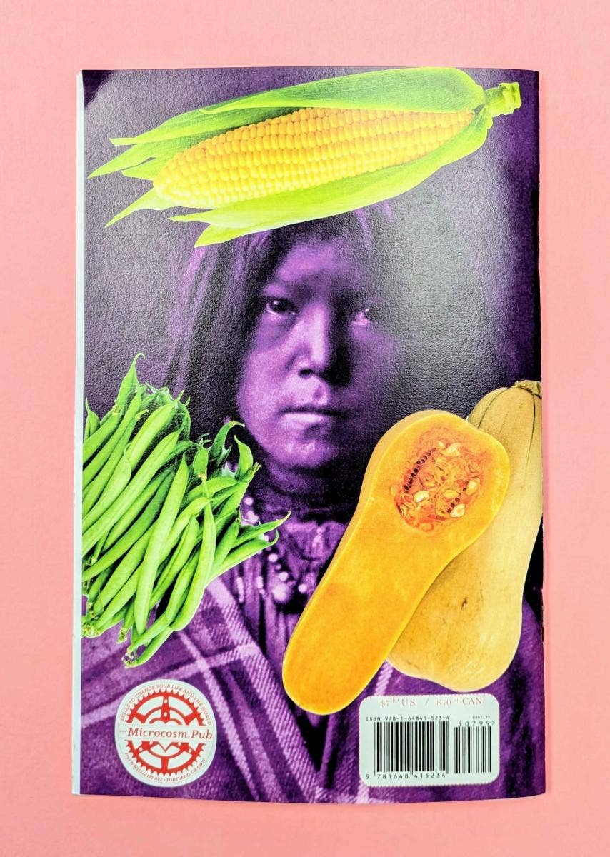 Eat Native: Savory Recipes Made with the Three Sisters Zine
