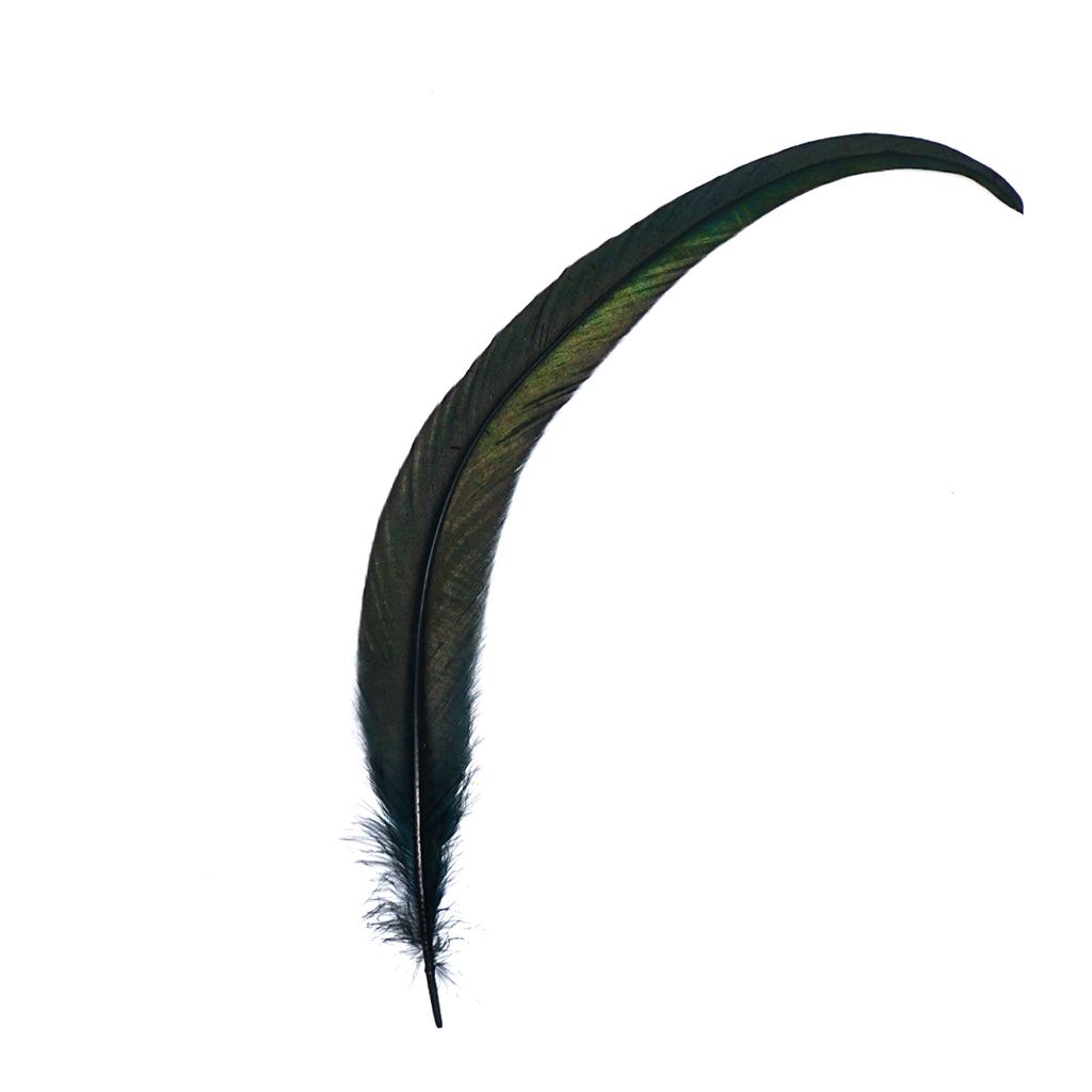 Black Feathers for Smudging