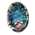 Abalone Shell Dish | Palo Santo Ritual