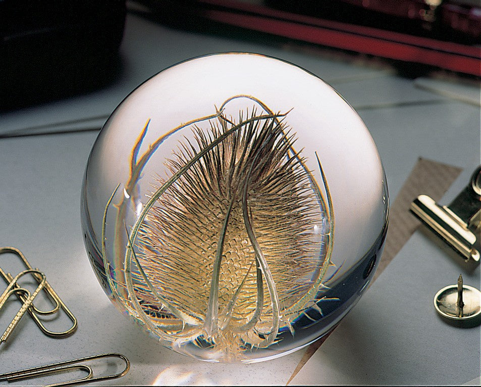 Teasel Paperweight